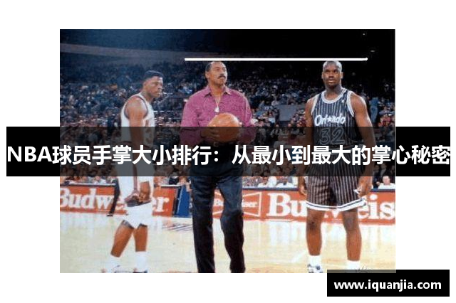 NBA球员手掌大小排行：从最小到最大的掌心秘密